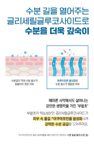 라운드랩 자작나무 수분 톤업 선크림 리뷰