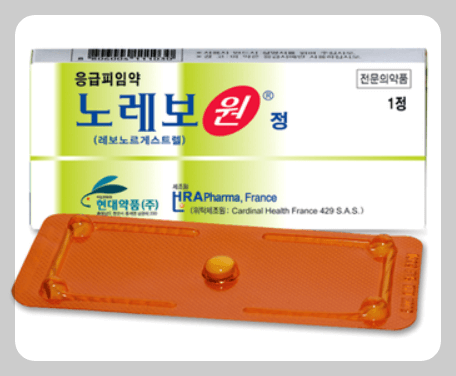 노레보원정