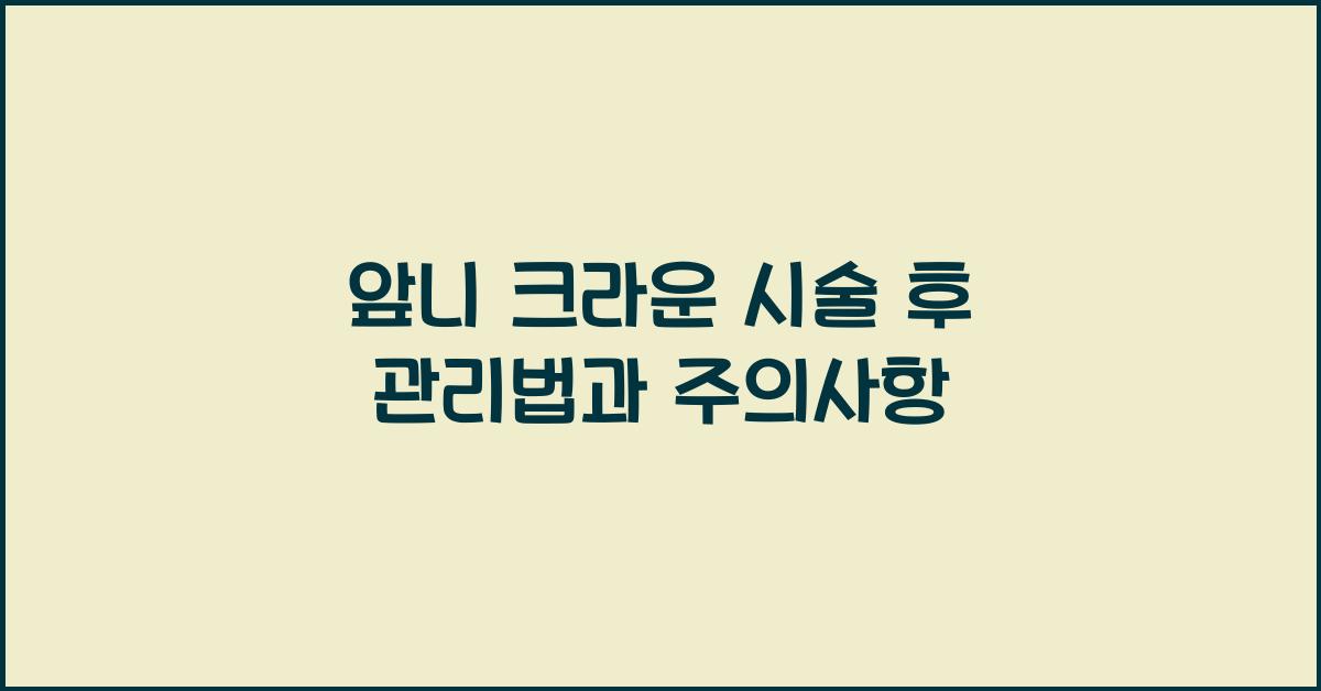 앞니 크라운