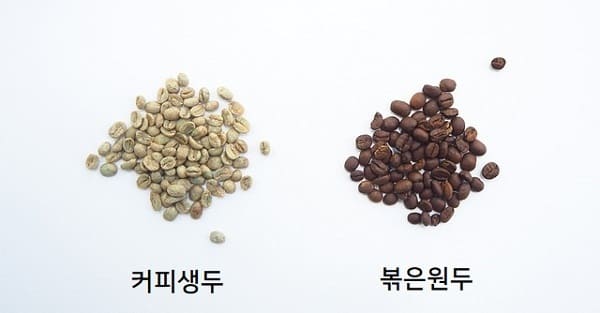 생두와 볶은 원두 비교 사진