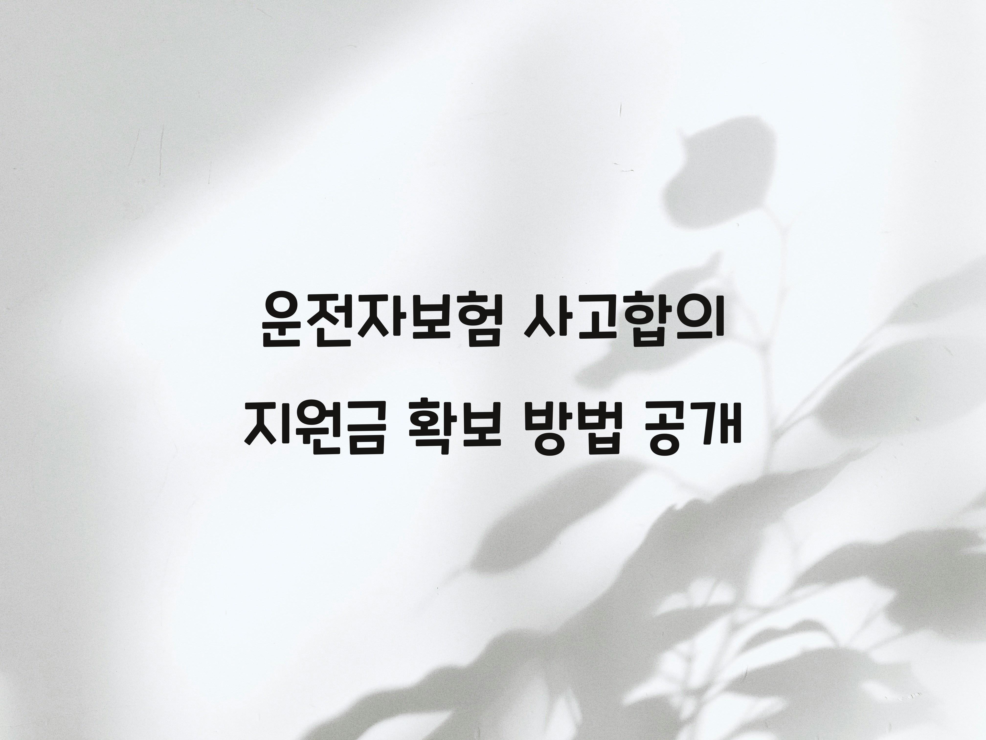 운전자보험 사고합의 지원금