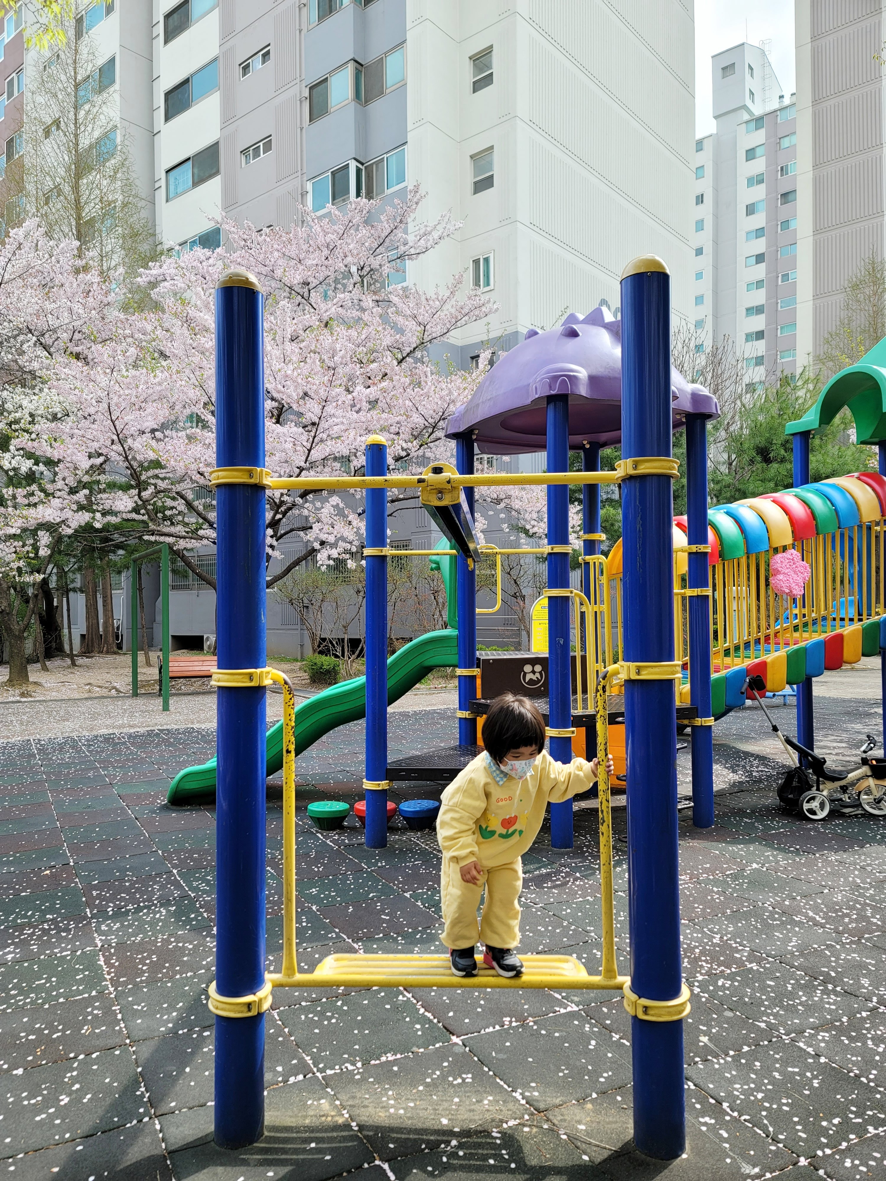 수원 숨은 벚꽃 명소