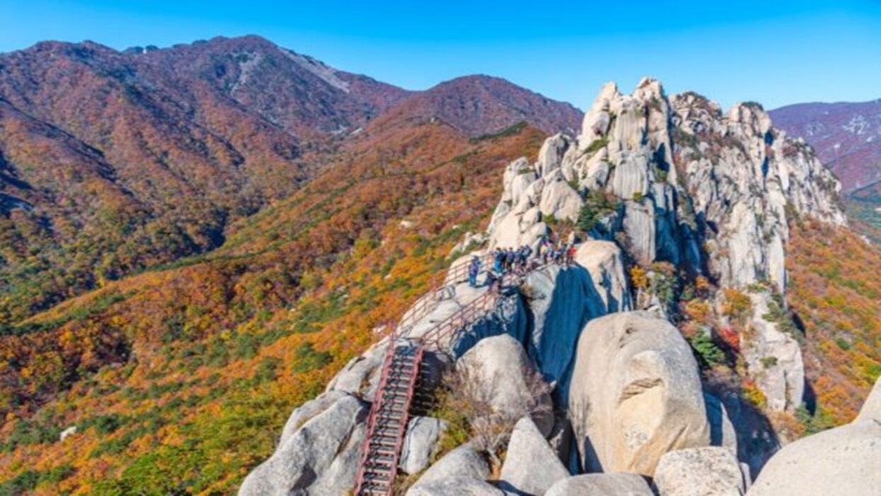 강원도 설악산 국립공원