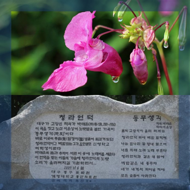 봉선화-노래비