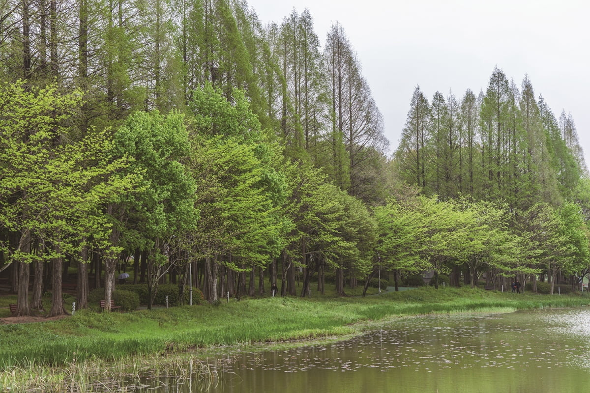 김제 가구 형태별 예산표 &mdash; 실거주 관점에서 본, 부담과 여유의 균형