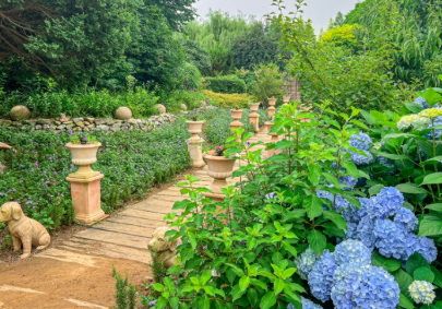 충청권 수국 명소 추천 7곳, 지금 안 가면 손해! 여름 꽃 여행지