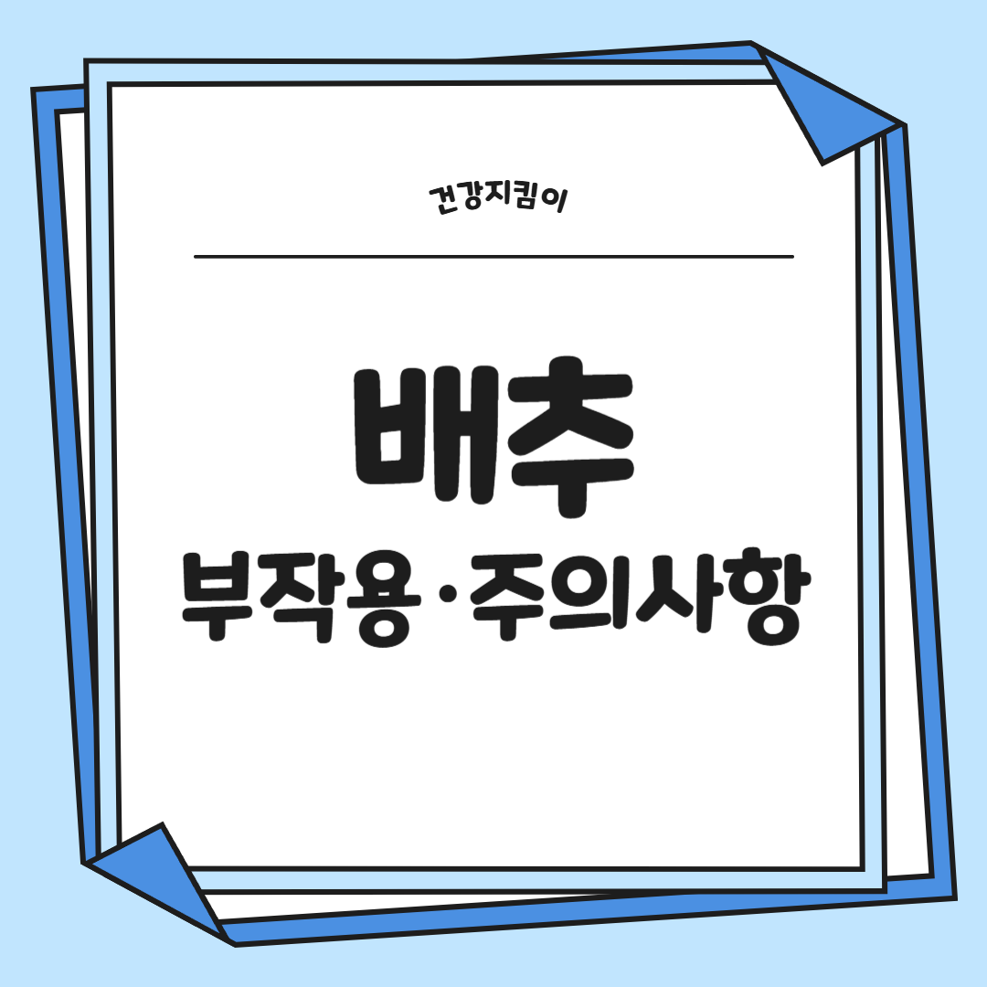 배추 효능 부작용 칼로리
