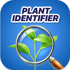 식물이름 찾기 무료 어플, 핸드폰 어플에서 식물식별