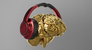  포스파티딜세린 효능 가격 식약처 인증 추천 부작용