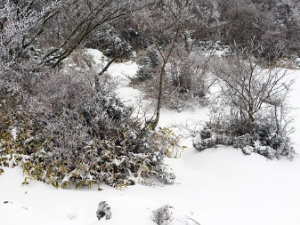 당뇨에 좋은 음식과 나쁜 음식