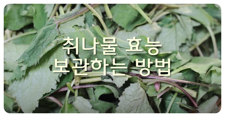 취나물 효능, 보관하는 방법