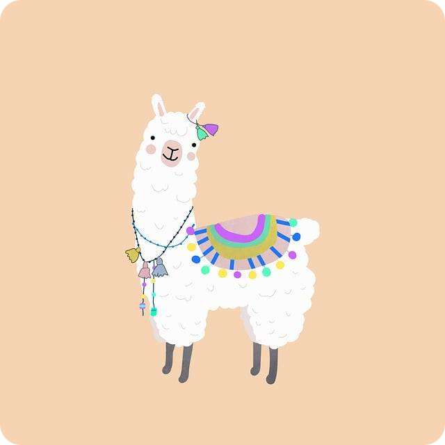 알파카 라마 차이점