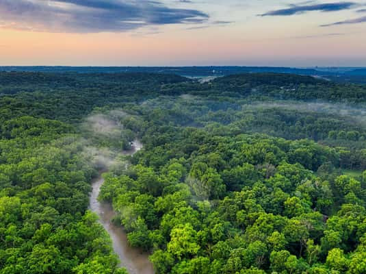이키토스 (Iquitos) &amp; 아마존 우림 (Amazon Rainforest)