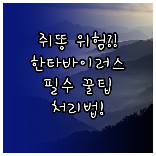 쥐 배설물 한타바이러스 감염 위험과 ..