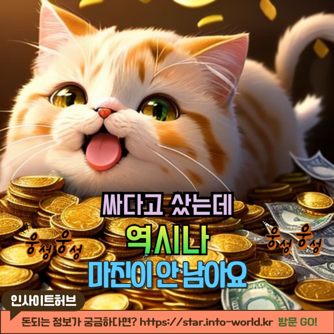 알리익스프레스 구매대행 방법 &amp; 주의할 점