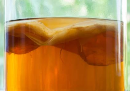 콤부차 효능 및 부작용