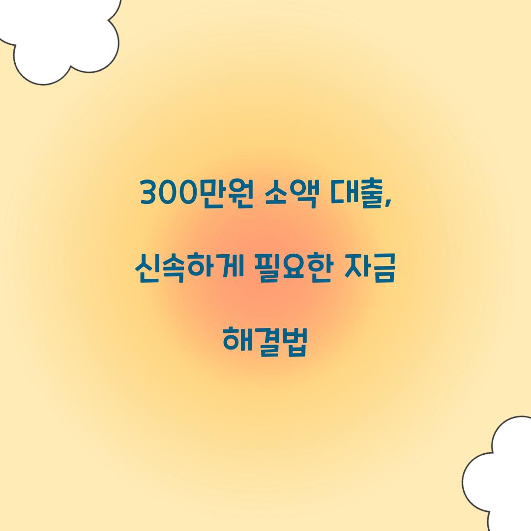 300만원 소액 대출