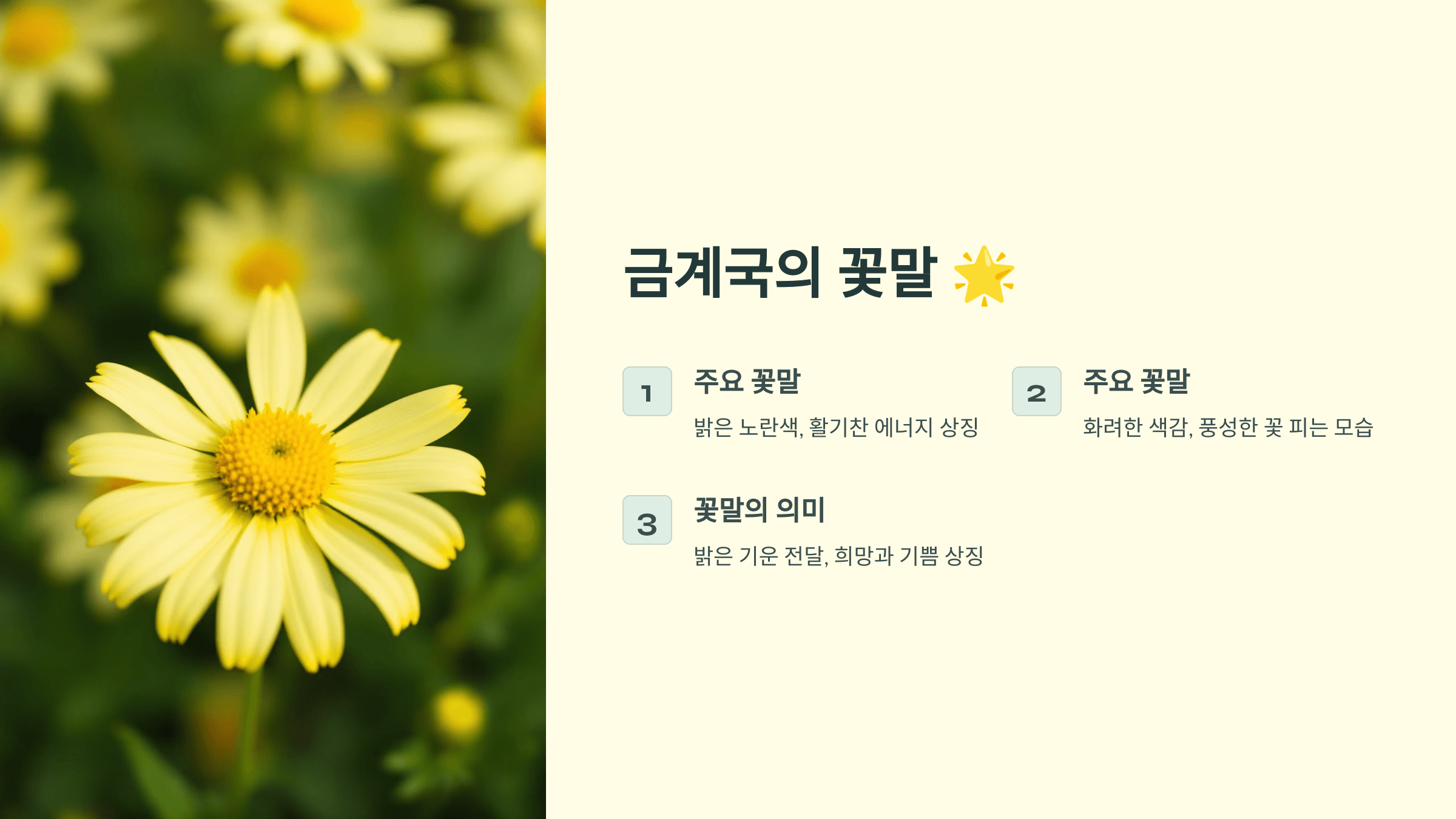 금계국 사진입니다.