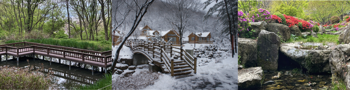 용인 자연휴양림