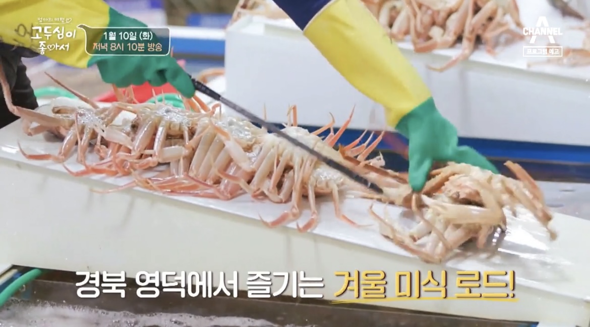 고두심이좋아서-대게-한상-사진