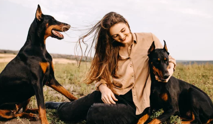 도베르만 핀셔 사진/ 출처:어도비스톡