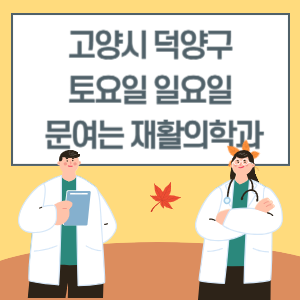 고양시 덕양구 토요일 일요일 재활의학과 진료 문여는 병원 리스트