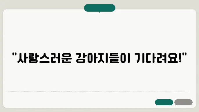 강아지 보호소의 입양 통계