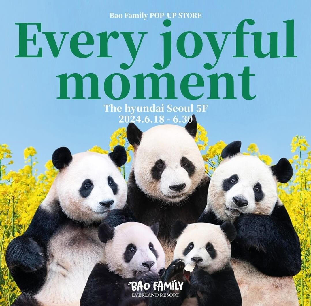 푸바오 바오패밀리 팝업 더현대