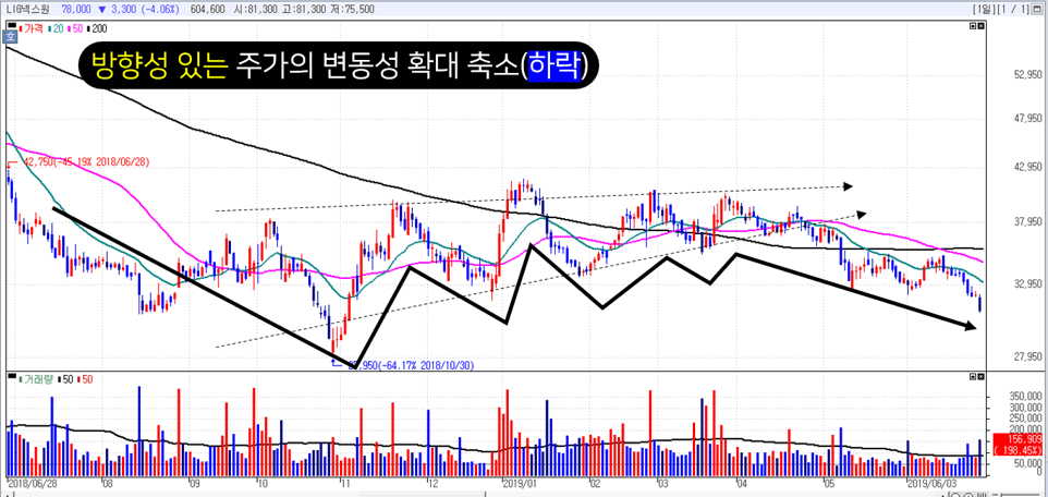 방향성 있는 주가 변동성 확대 (주가 하락)