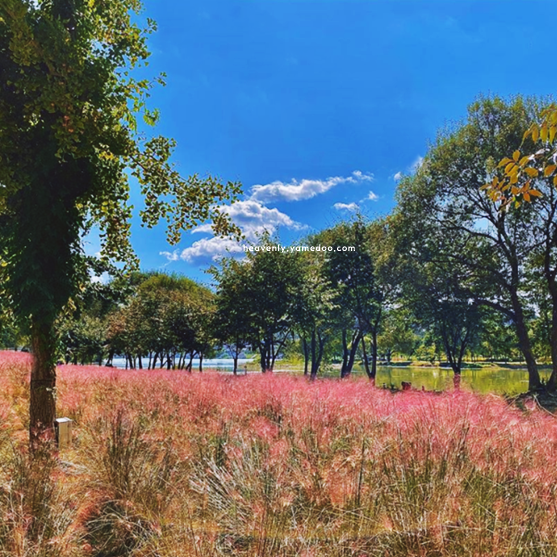 가평 가볼만한곳