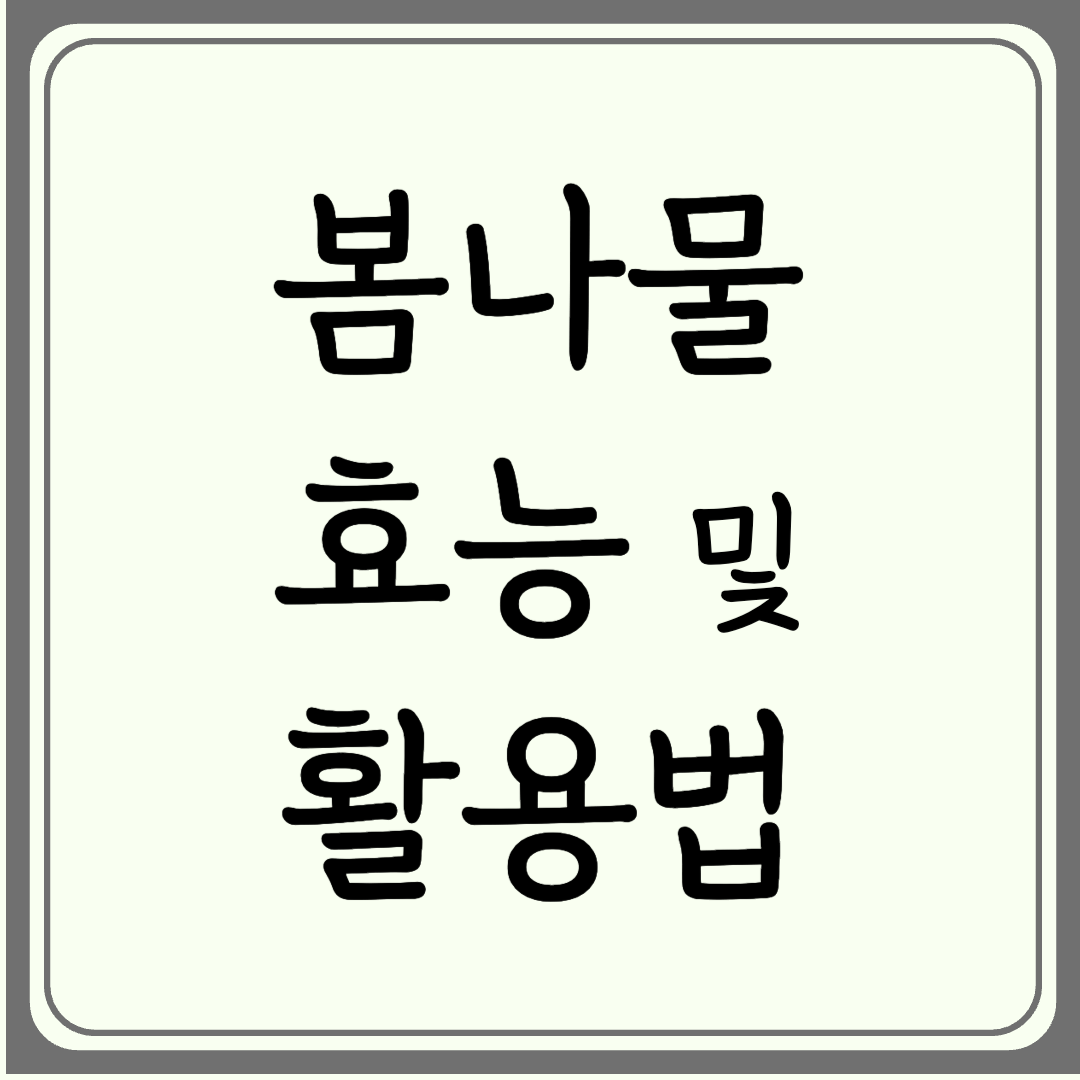 청명(淸明) 절기에 즐기는 봄나물 가이드