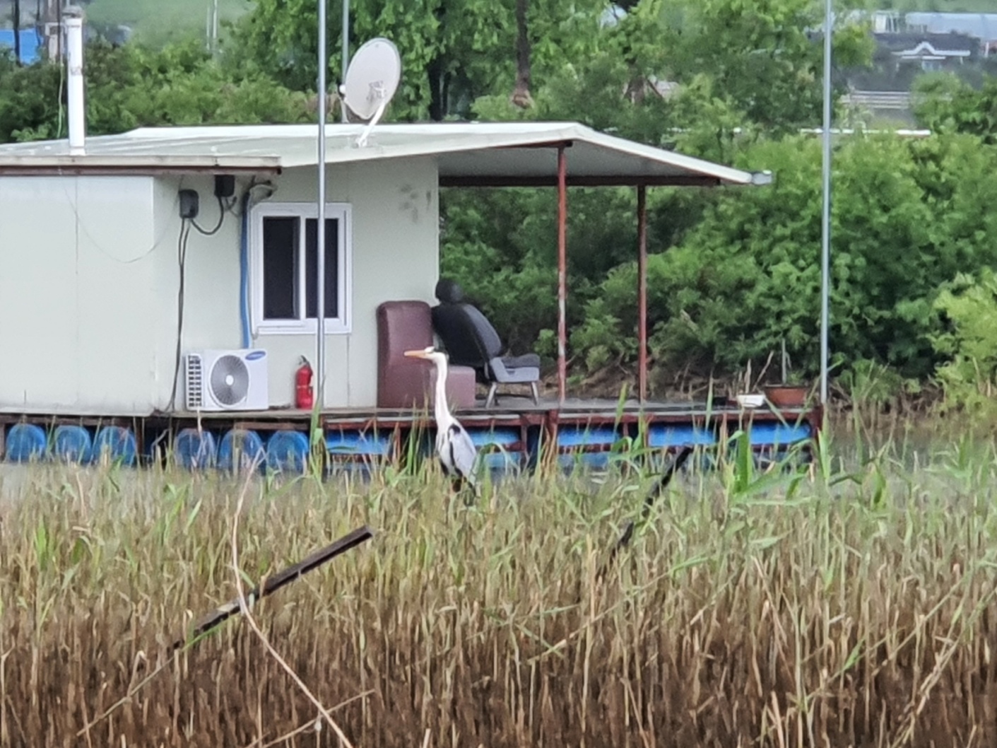 원천낚시터 관련 사진