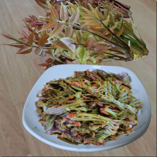 옻순 효능 및 맛있게 먹는 법과 주의점