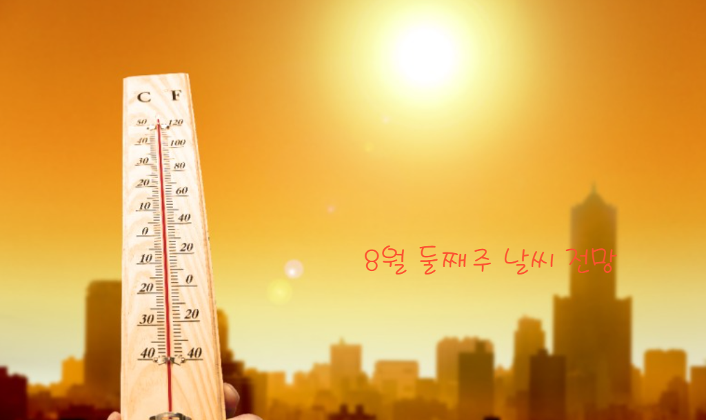 둘째주 (8월 5일 ~ 8월 11일)