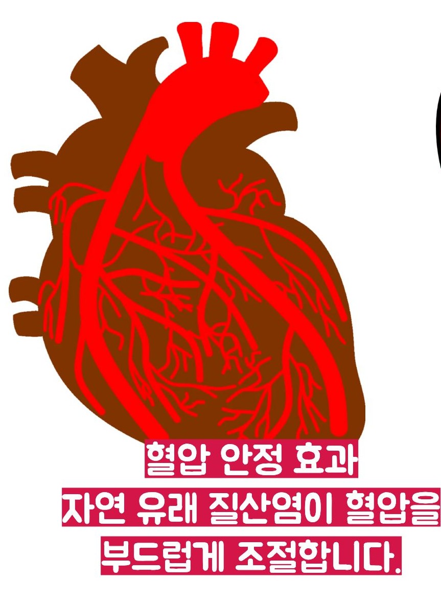 비트 효능