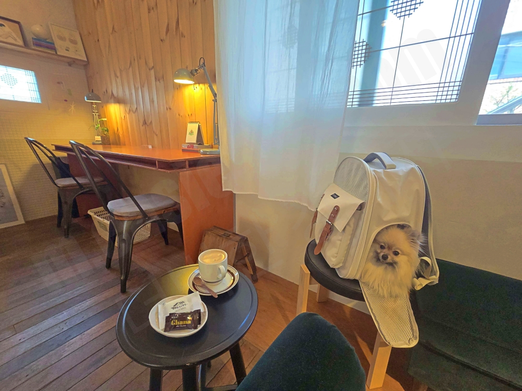 애견동반 카페에서 가방 안에 머무는 강아지