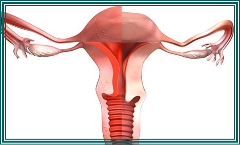 임신 중 질염 생기는 이유 10가지