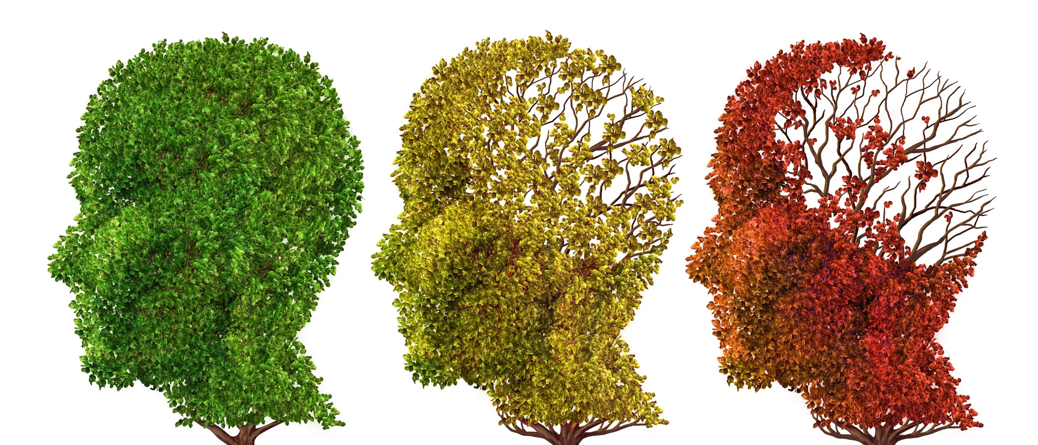 조기 퇴직, 인지력 저하 일으킬 수 있어 Study Suggests That Early Retirement Can Cause Cognitive Decline