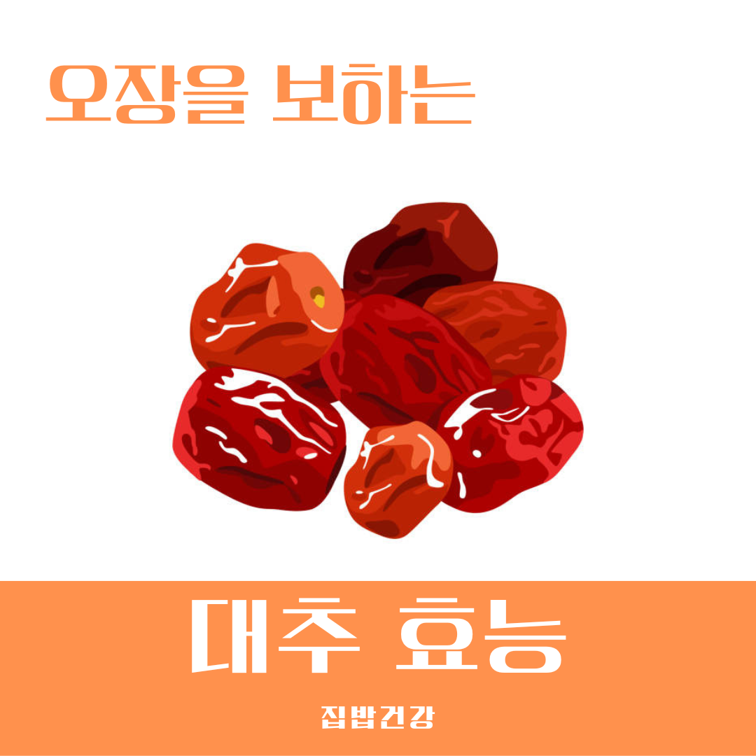 대추 효능