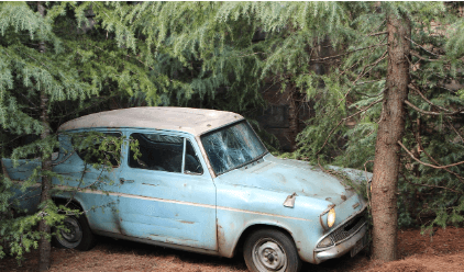 고령운전자 운전면허 반납 제도 알아보기