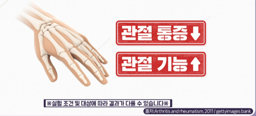 콘드로이친