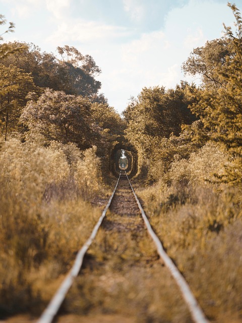 부산역-ktx-시간표-조회