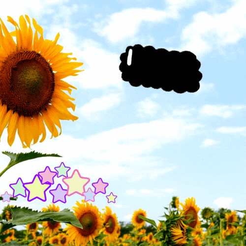 해바라기 그림 돈들어오는 그림 다운받기