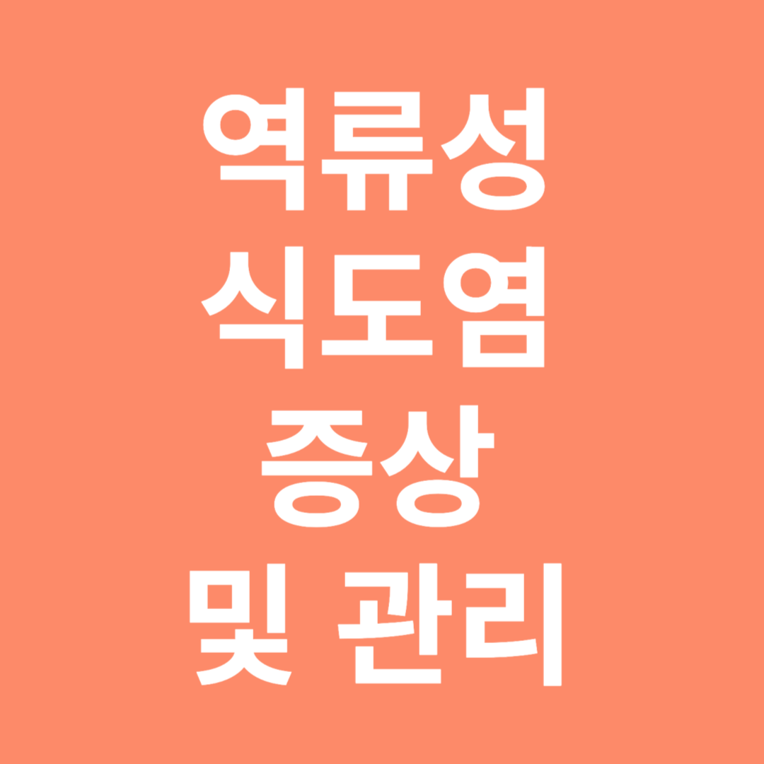 역류성 식도염 증상 및 관리