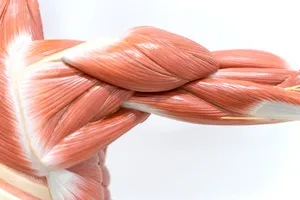 팔꿈치-안쪽-통증