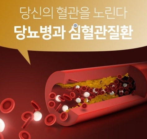 당뇨병과 심혈관 질환 관련 이미지