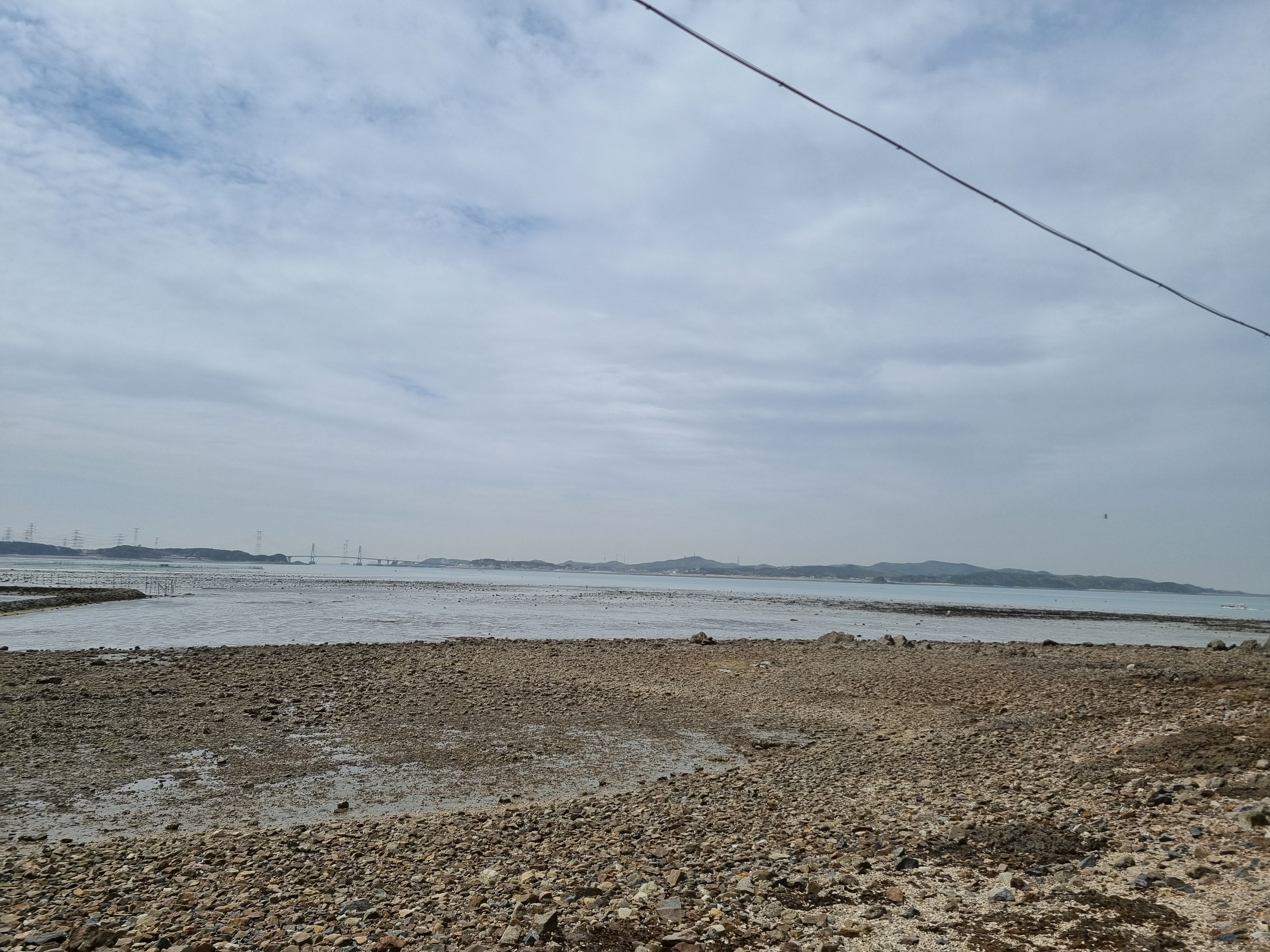 구봉도 갯벌체험