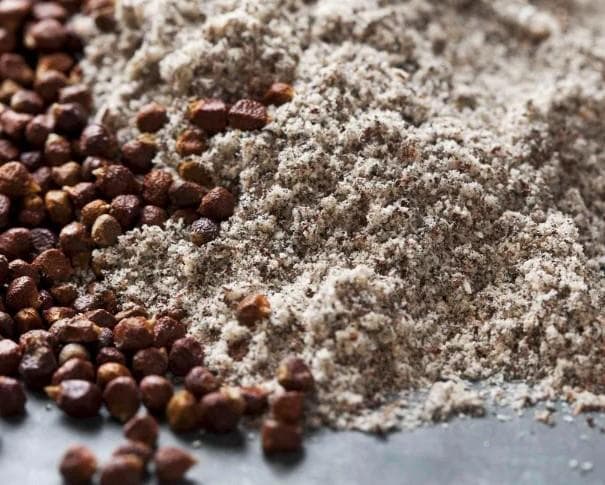 파라다이스그레인