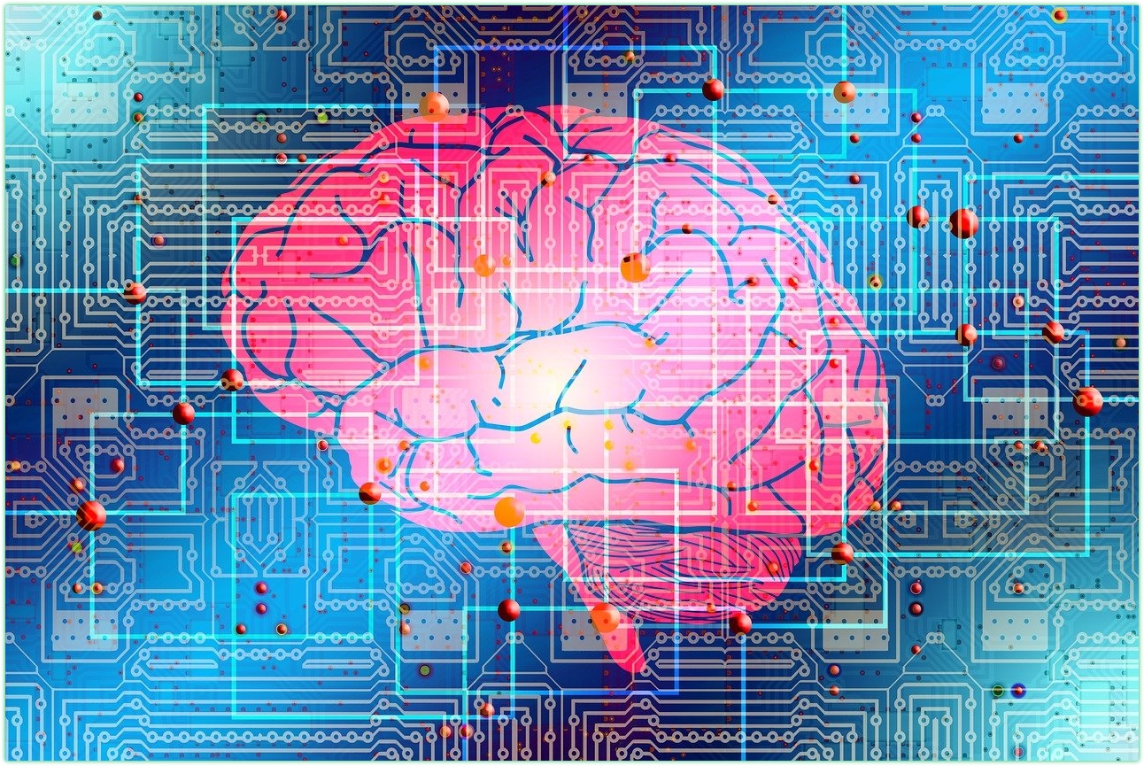 뇌건강 완벽 가이드 &ndash; 2025년 최신 정보로 실천하는 생활습관 총정리