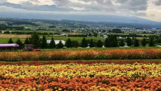 여름-삿포로-여행